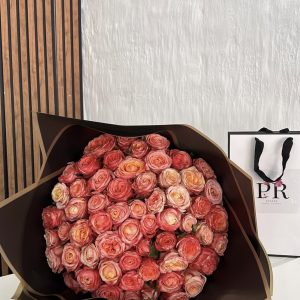 60 Variegated Roses
