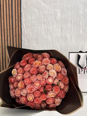 60 Variegated Roses