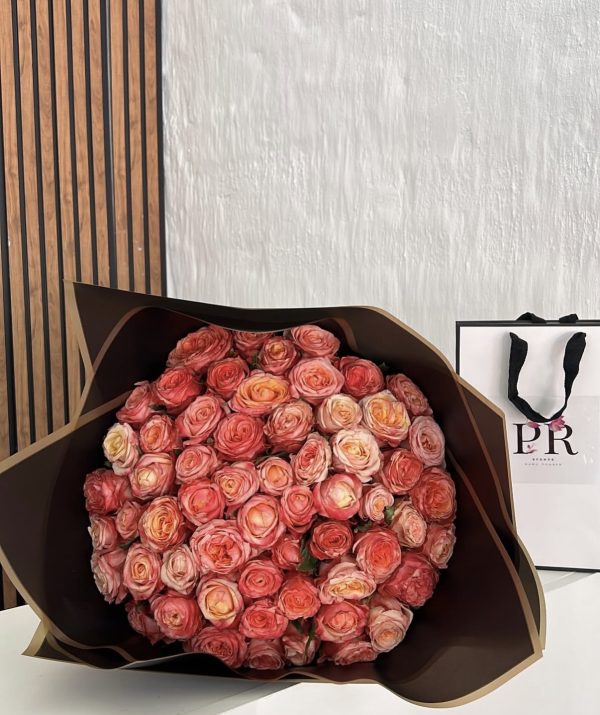 60 Variegated Roses